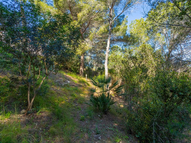 Villa for Sale in Inland Orihuela, Alicante 49