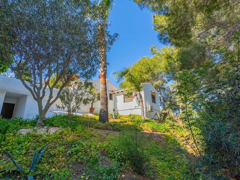 Villa for Sale in Inland Orihuela, Alicante 50