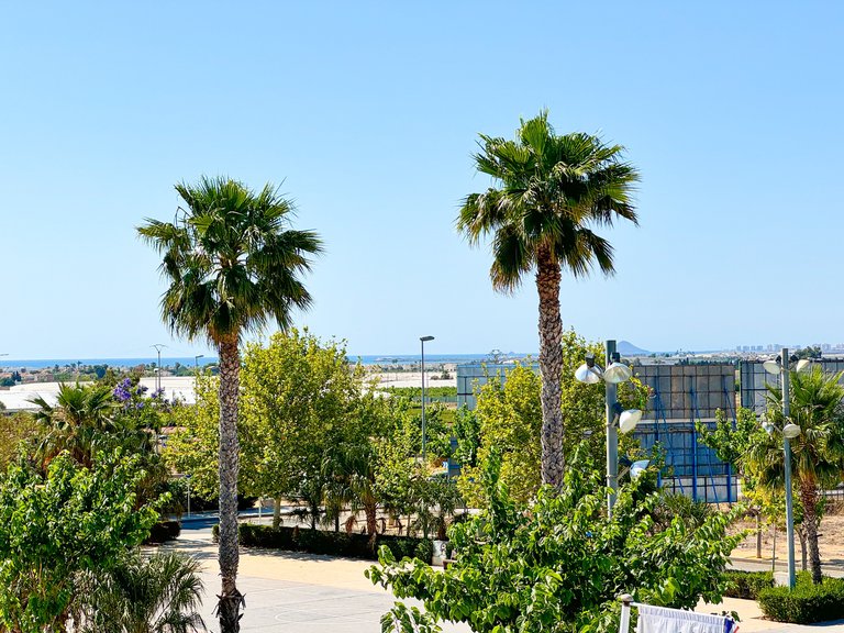 Villa for Sale in Pilar De La Horadada, Alicante 30