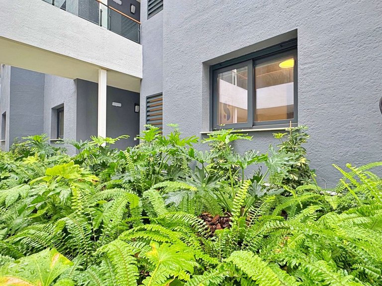 Apartment for Sale in Torrevieja, Alicante 3