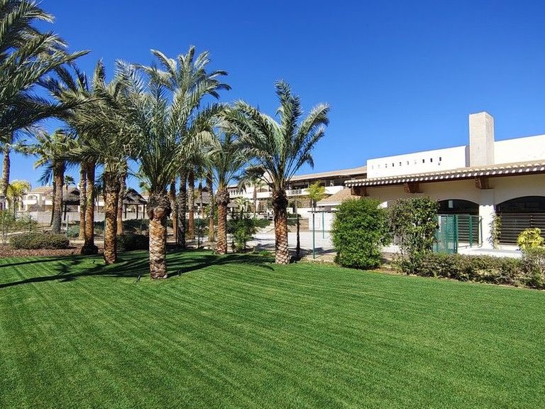 Apartment for Sale in Fuente Alamo, Murcia 17