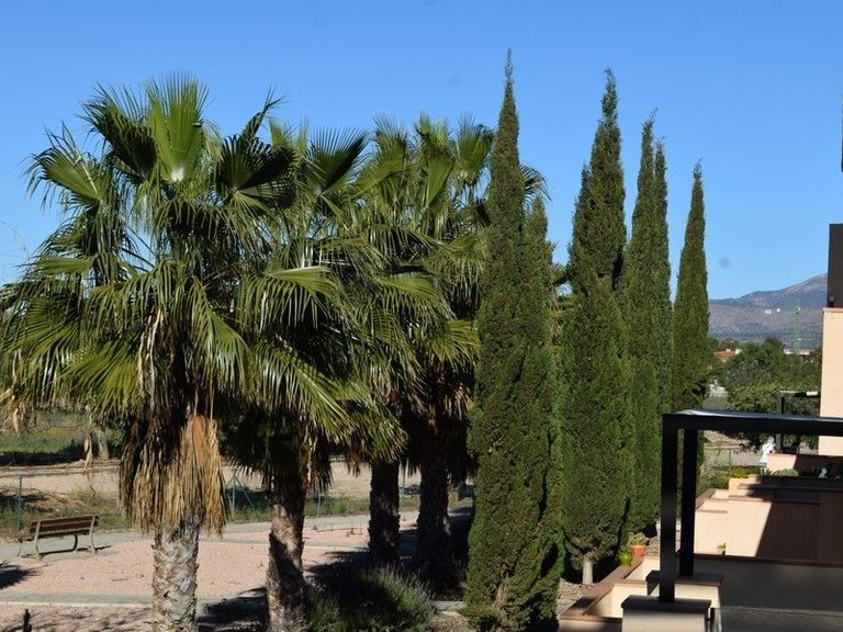 Apartment for Sale in Hacienda Del Alamo Golf Resort, Murcia 43