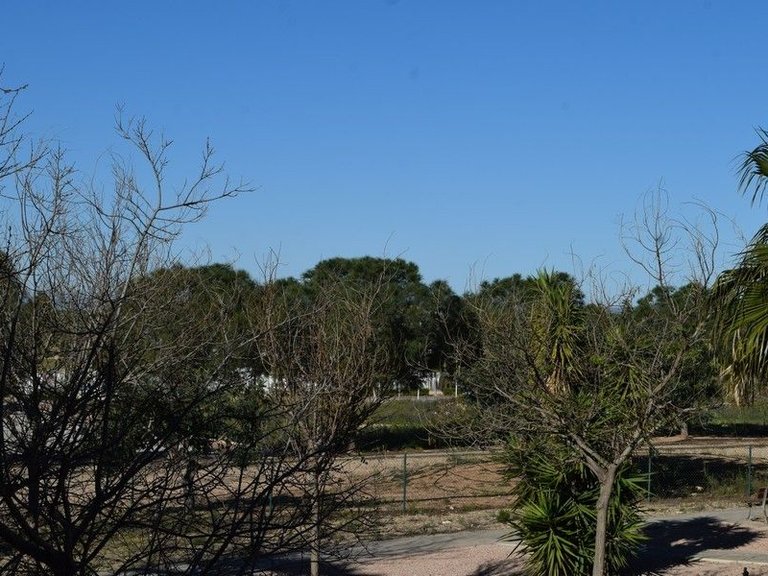 Apartment for Sale in Hacienda Del Alamo Golf Resort, Murcia 44