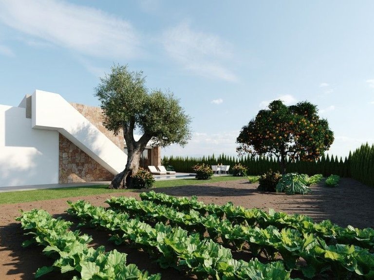 Villa for Sale in Hacienda Del Alamo Golf Resort, Murcia 8