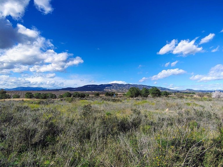 Plot for Sale in , Murcia 2