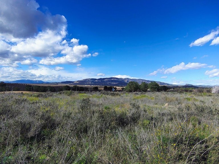 Plot for Sale in , Murcia 3