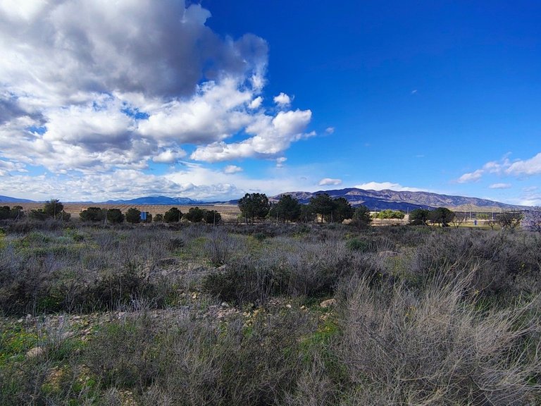 Plot for Sale in , Murcia 4