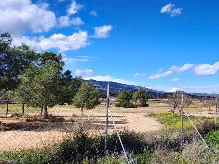 Plot for Sale in , Murcia 5