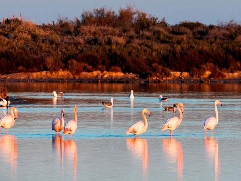 Apartment for Sale in San Pedro Del Pinatar, Murcia 19