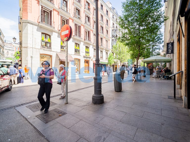 Commercial for Sale in Sol, Madrid 20