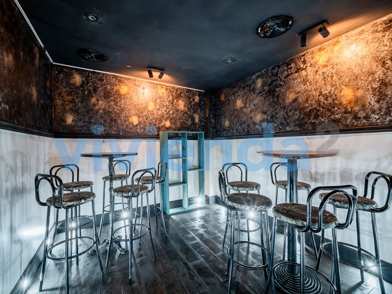 Commercial for Sale in Palacio, Madrid 14