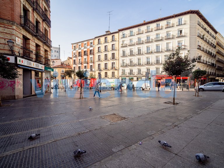 Apartment for Sale in Embajadores, Madrid 11