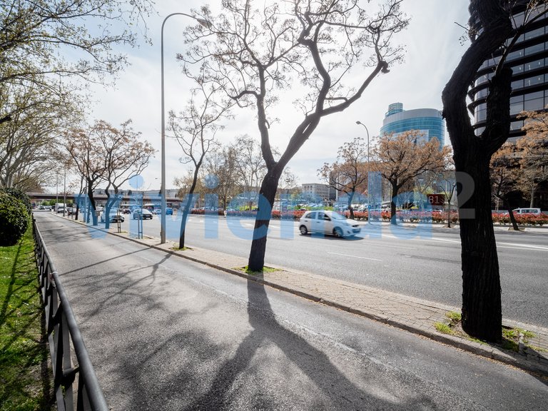 Wohnung zu verkaufen in El Viso, Madrid 13