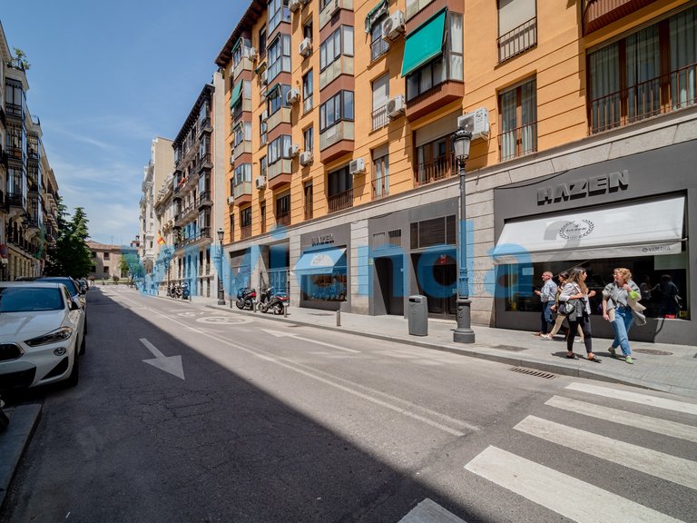 Commercial for Sale in Palacio, Madrid 18