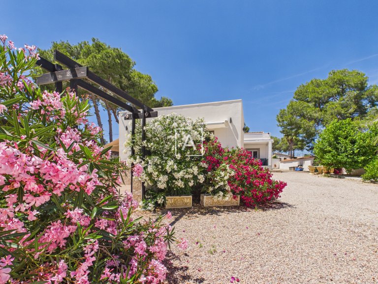Villa for Sale in Pinar De Campoverde, Alicante 13