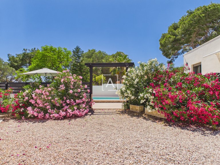 Villa for Sale in Pinar De Campoverde, Alicante 9