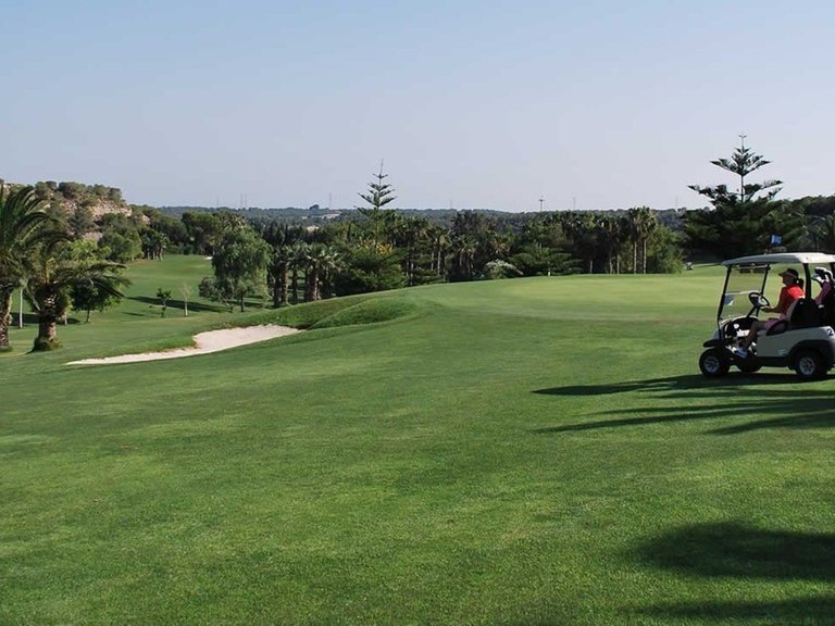 Town House for Sale in San Miguel De Salinas, Alicante 38