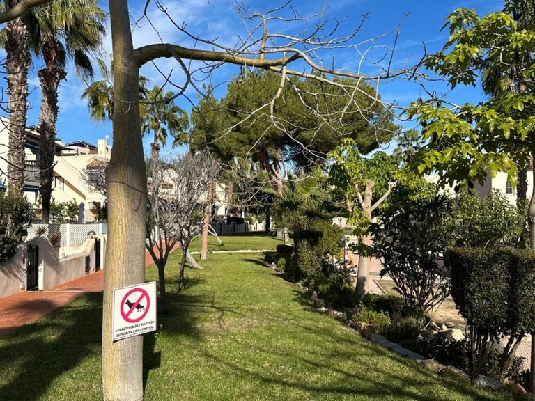 Town House for Sale in Las Ramblas, Alicante 31