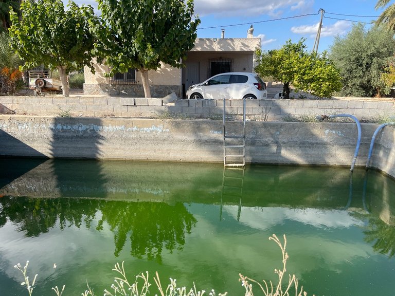 Villa for Sale in Crevillente, Alicante 44