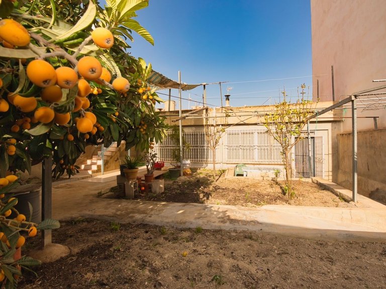 Villa for Sale in Benijofar, Alicante 23