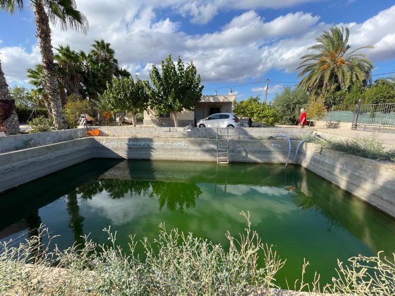 Villa for Sale in Crevillente, Alicante 7
