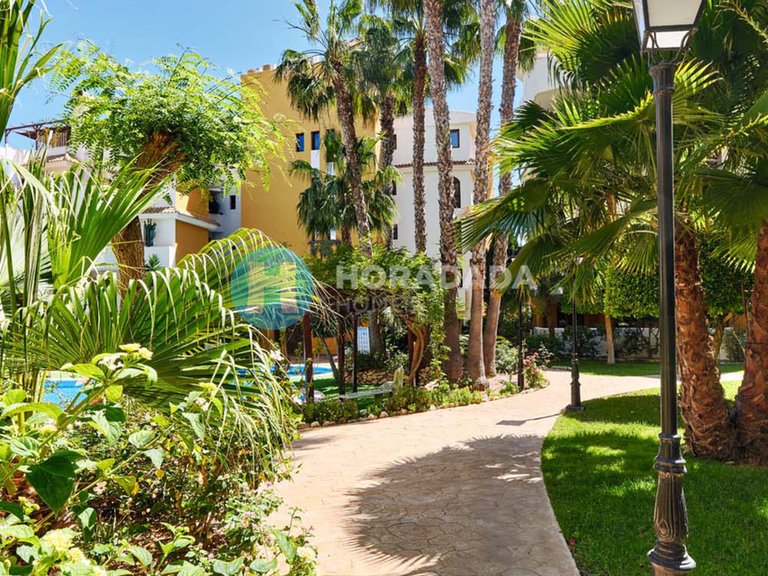 Apartment for Sale in Punta Prima, Alicante 4