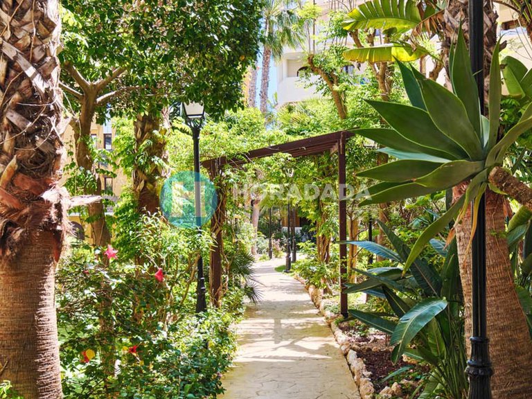 Apartment for Sale in Punta Prima, Alicante 6