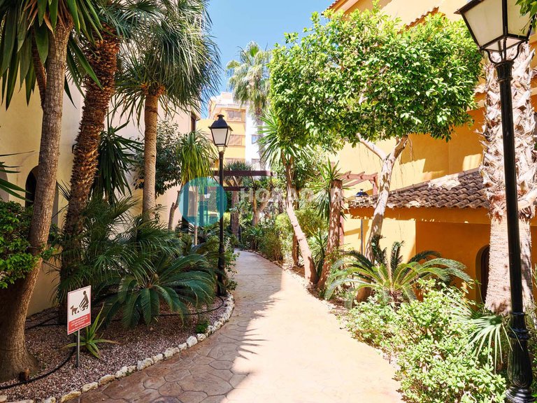 Apartment for Sale in Punta Prima, Alicante 3