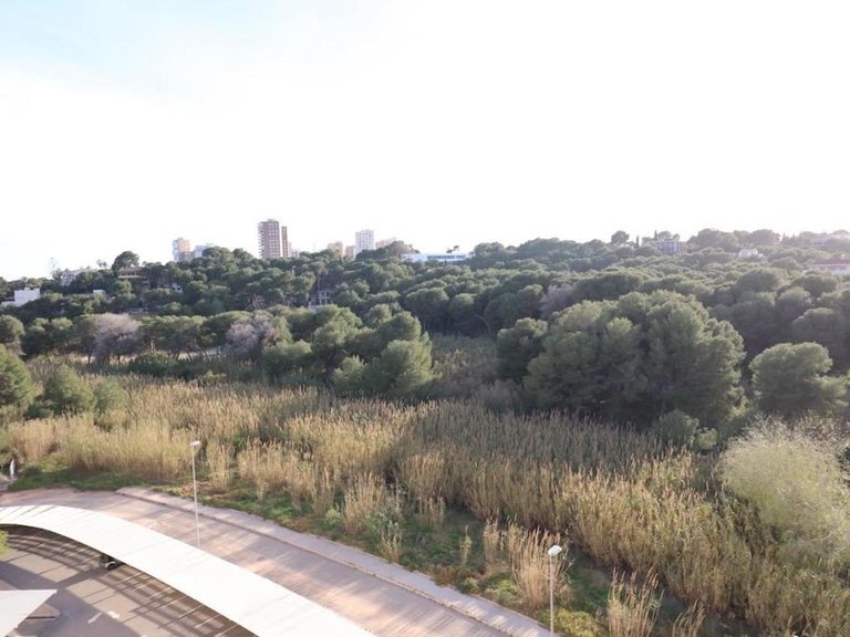 Apartment for Sale in Orihuela Costa, Alicante 25