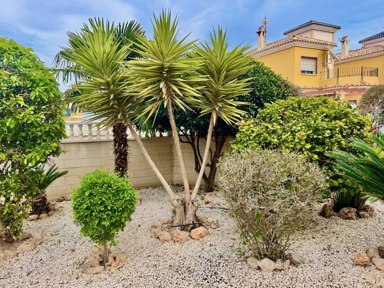 Villa for Sale in Ciudad Quesada, Alicante 23