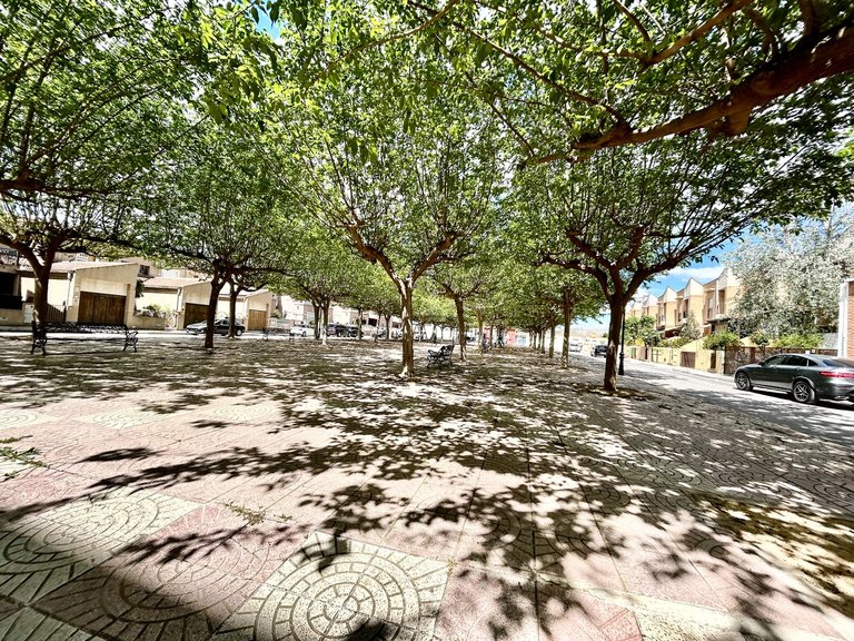 Apartment for Sale in Almoradi, Alicante 39