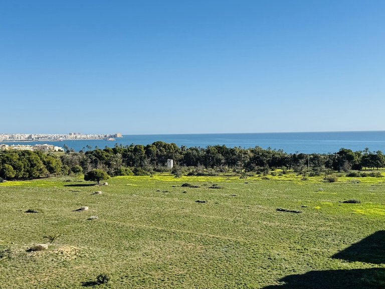 Penthouse for Sale in Punta Prima, Alicante 25