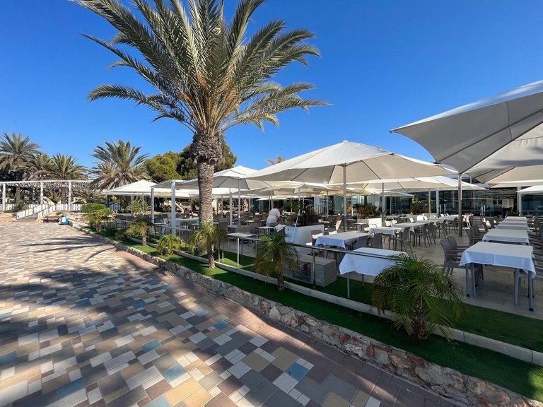 Apartment for Sale in Punta Prima, Alicante 19