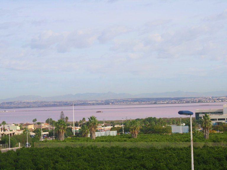 Town House for Sale in Los Altos, Alicante 4