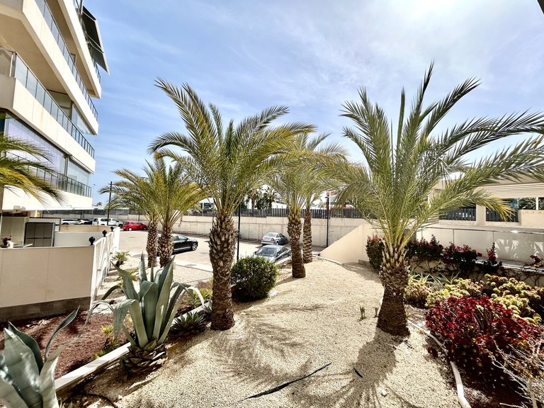 Penthouse for Sale in Los Dolses, Alicante 22