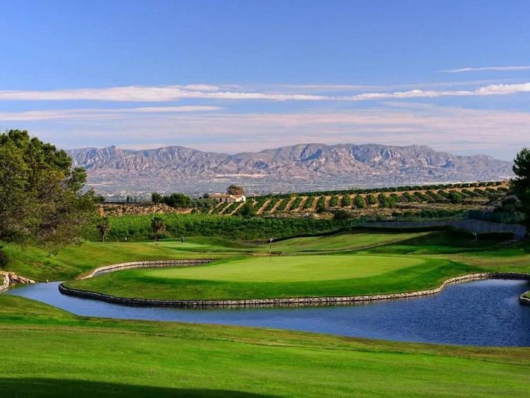 Villa for Sale in Algorfa, Alicante 20