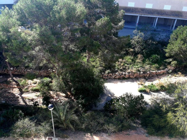 Villa for Sale in Playa Flamenca, Alicante 27