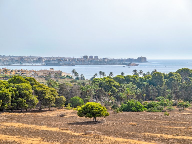 Penthouse for Sale in Punta Prima, Alicante 3