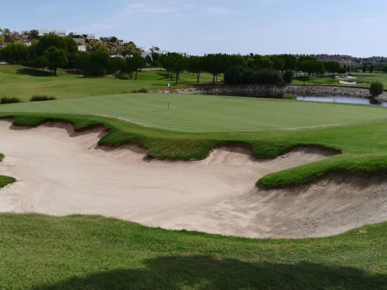 Villa for Sale in Las Colinas Golf Resort, Alicante 15