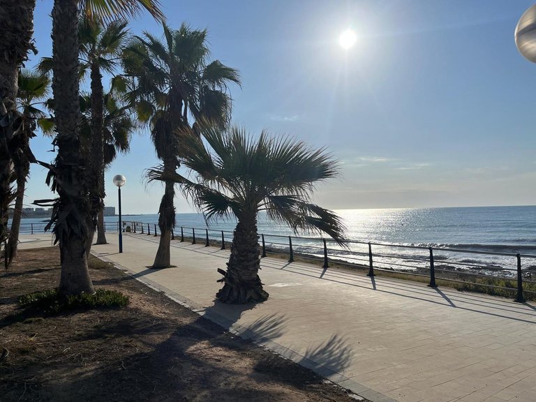 Apartment for Sale in Playa Flamenca, Alicante 20
