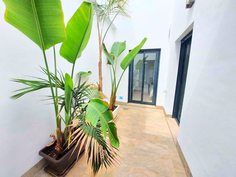 Town House for Sale in Pilar De La Horadada, Alicante 21