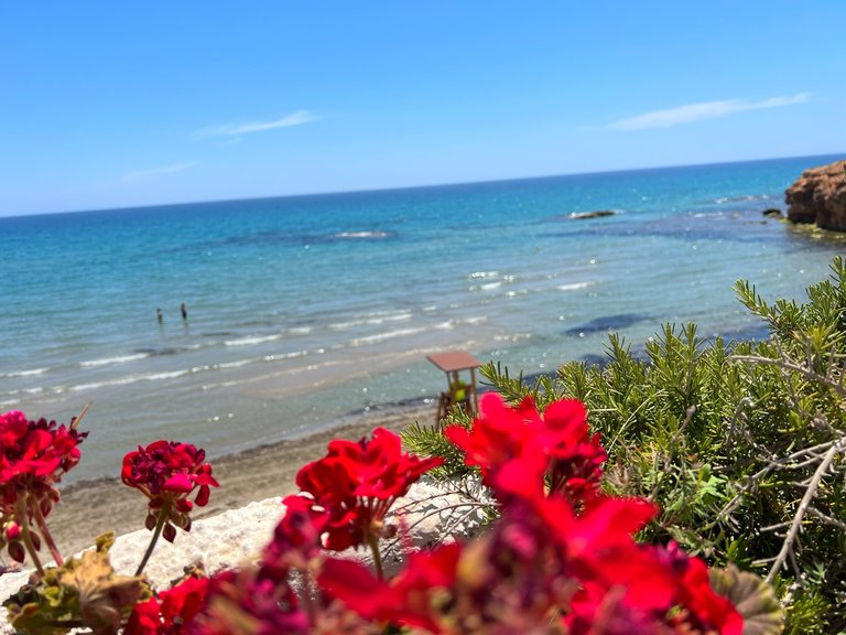 Villa for Sale in Los Balcones, Alicante 20