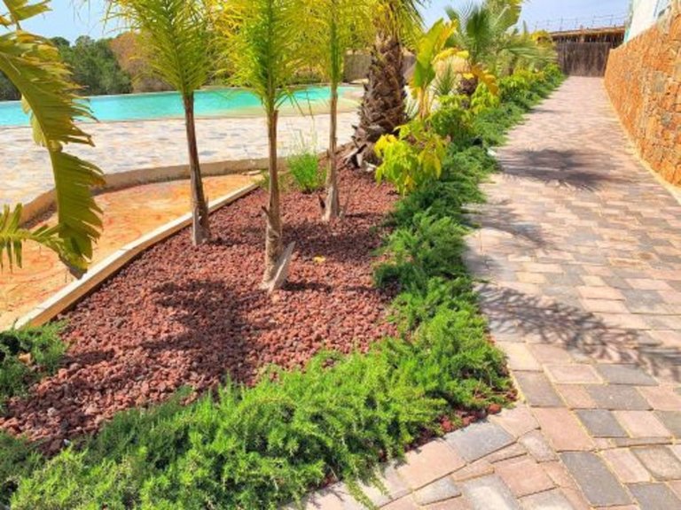 Apartment for Sale in Dehesa De Campoamor, Alicante 14