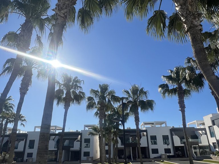 Apartment for Sale in La Zenia, Alicante 7
