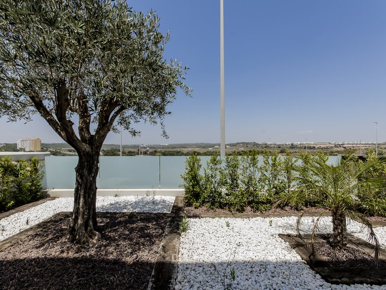 Villa for Sale in Dehesa De Campoamor, Alicante 5