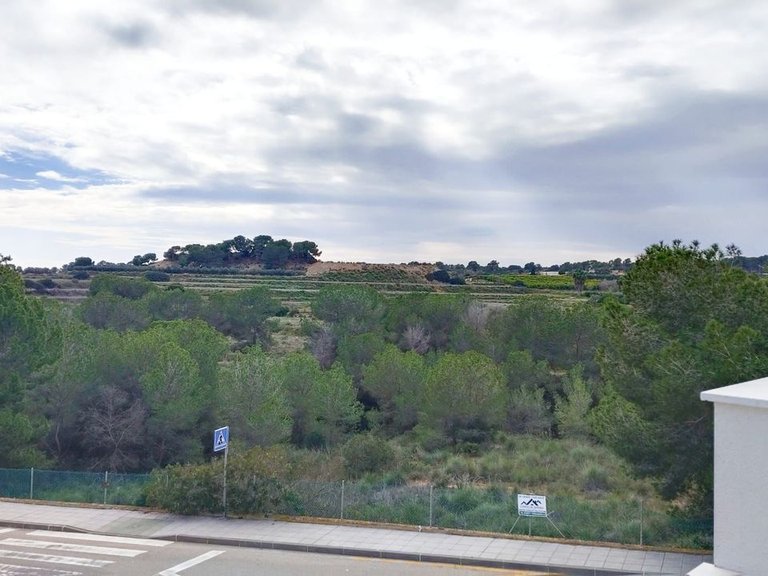 Villa for Sale in Pinar De Campoverde, Alicante 16