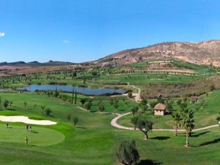 Villa for Sale in Algorfa, Alicante 22