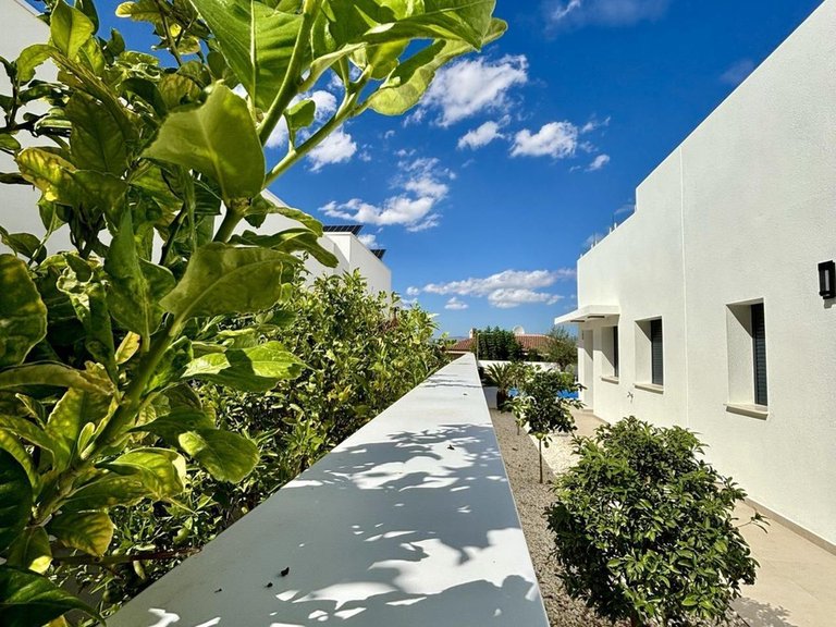 Villa for Sale in Benijofar, Alicante 5