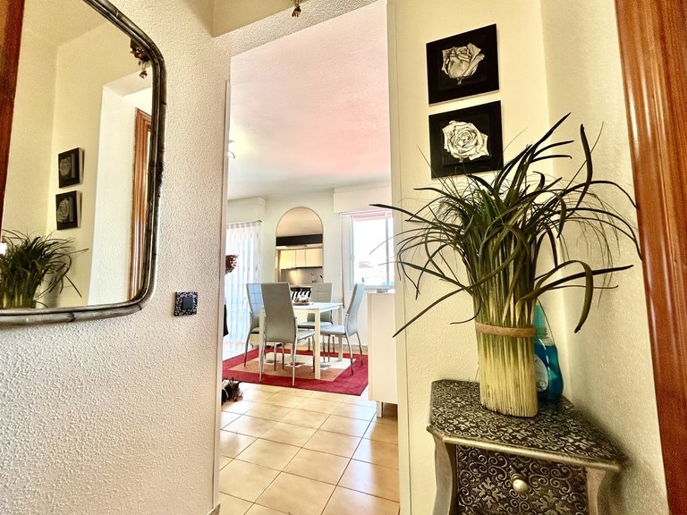Apartment for Sale in Torrevieja, Alicante 21