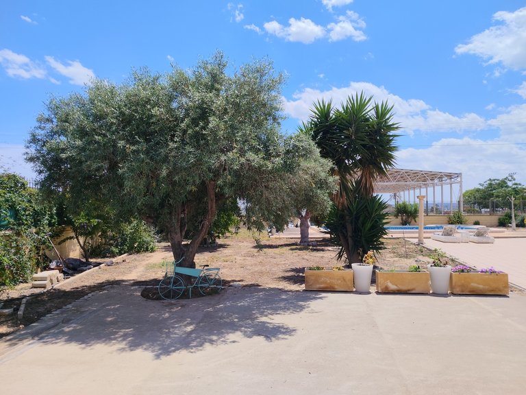 Villa for Sale in Los Montesinos, Alicante 10